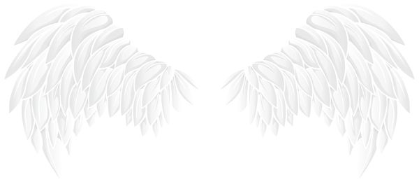 翅膀 PNG免抠图透明素材 16设计网编号:103453