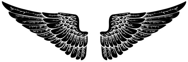 翅膀 PNG透明背景免抠图元素 16图库网编号:103457