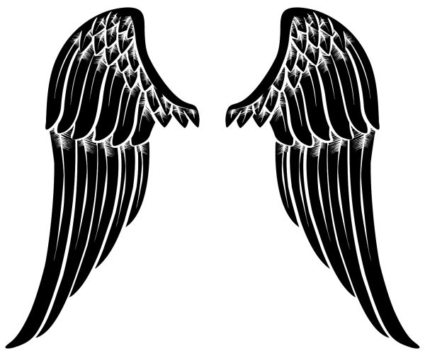 翅膀 PNG透明背景免抠图元素 16图库网编号:103458