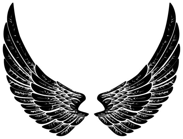 翅膀 PNG免抠图透明素材 16设计网编号:103459