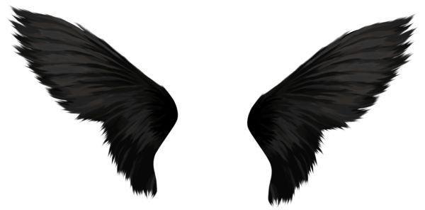 翅膀 PNG透明背景免抠图元素 16图库网编号:103463