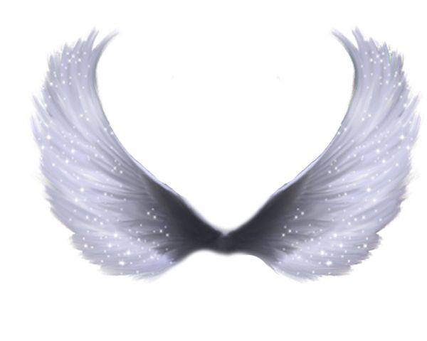 翅膀 PNG免抠图透明素材 16设计网编号:103464