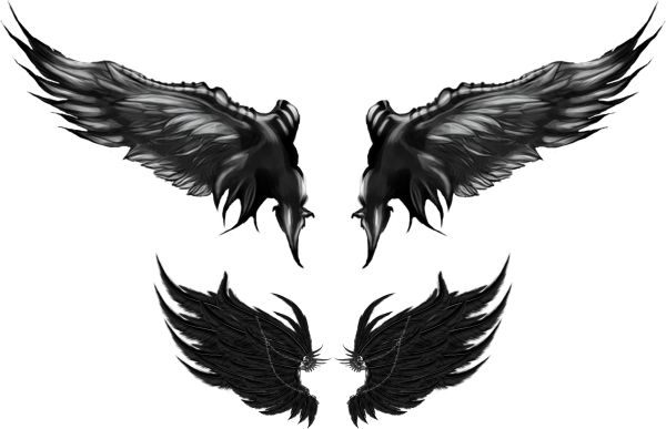 翅膀 PNG免抠图透明素材 16设计网编号:103465