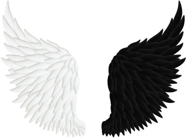 翅膀 PNG免抠图透明素材 普贤居素材编号:103467