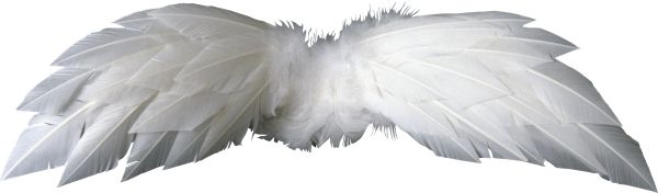 翅膀 PNG透明背景免抠图元素 素材中国编号:103469