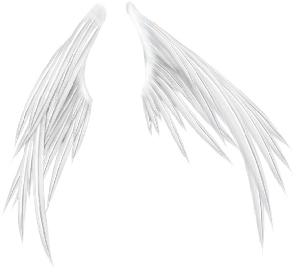 翅膀 PNG免抠图透明素材 16设计网编号:103471