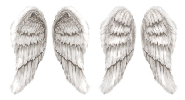 翅膀 PNG免抠图透明素材 16设计网编号:103473