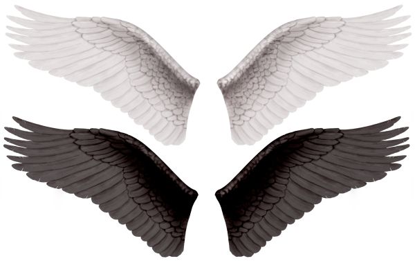 翅膀 PNG免抠图透明素材 普贤居素材编号:103474