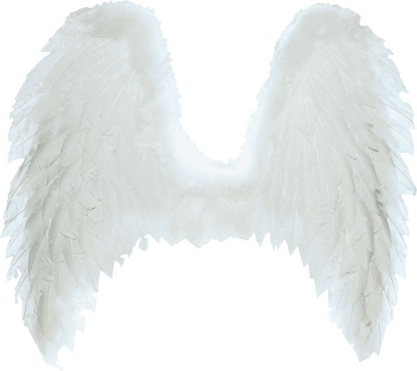 翅膀 PNG免抠图透明素材 16设计网编号:103475
