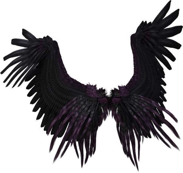 翅膀 PNG免抠图透明素材 16设计网