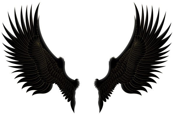 翅膀 PNG免抠图透明素材 16设计网编号:103478