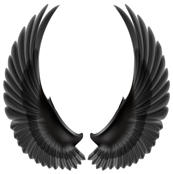 翅膀 PNG免抠图透明素材 16设计网编号:103479