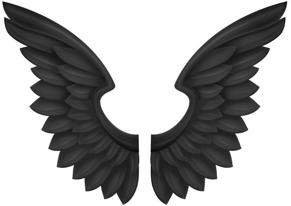 翅膀 PNG免抠图透明素材 普贤居素材编号:103480