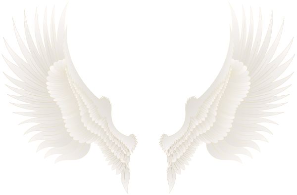 翅膀 PNG免抠图透明素材 16设计网编号:103481