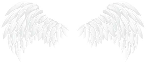 翅膀 PNG免抠图透明素材 16设计网编号:103482