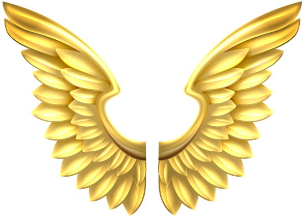 翅膀 PNG透明背景免抠图元素 16图库网编号:103483