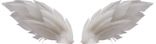 白色的翅膀 PNG透明元素免抠图素材 16素材网编号:21785