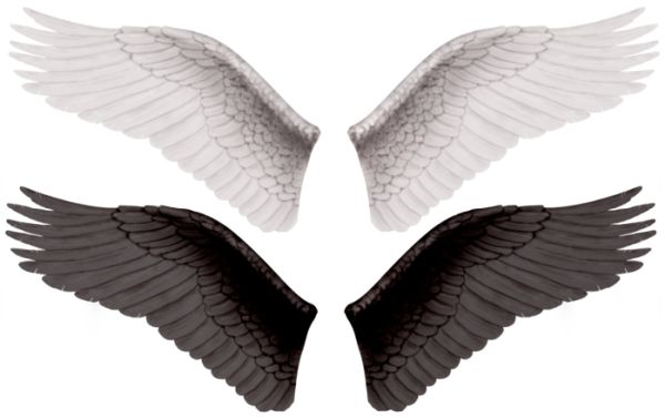 翅膀 PNG免抠图透明素材 普贤居素材编号:21786
