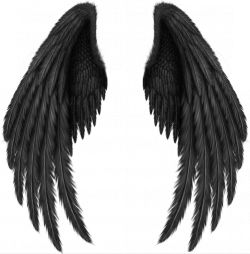 翅膀 PNG免抠图透明素材 16设计网编号:21787