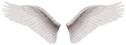 白色天使翅膀 PNG透明背景免抠图元素 素材中国编号:21776