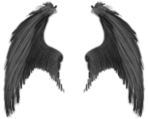 翅膀 PNG免抠图透明素材 16设计网编号:21798