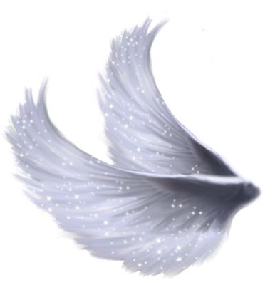 翅膀 PNG免抠图透明素材 普贤居素材编号:21799