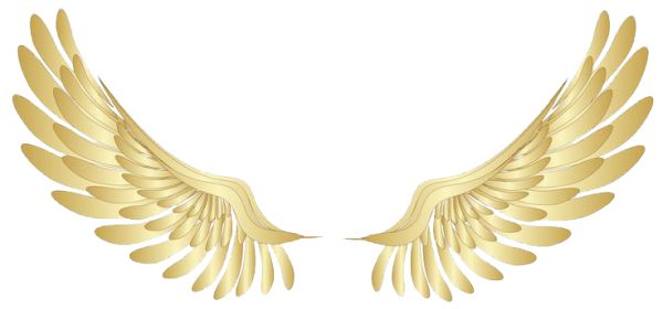 翅膀 PNG透明背景免抠图元素 16图库网编号:21803