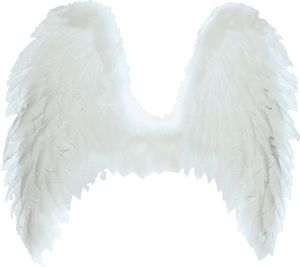翅膀 PNG免抠图透明素材 16设计网编号:21777