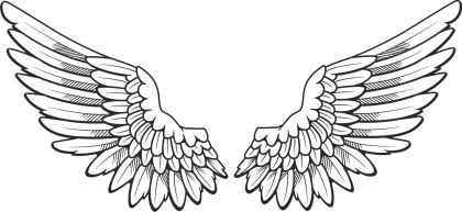 翅膀 PNG透明元素免抠图素材 16素材网编号:21804
