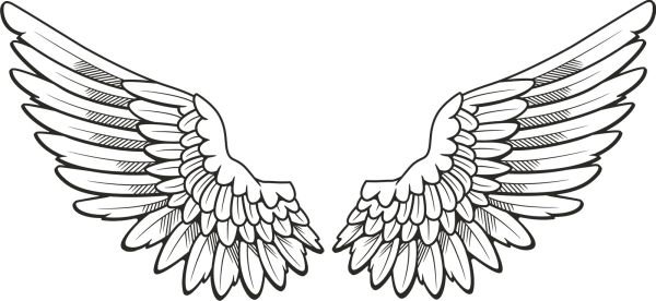翅膀 PNG透明背景免抠图元素 16图库网编号:21805