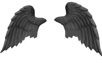 翅膀 PNG免抠图透明素材 16设计网编号:21806