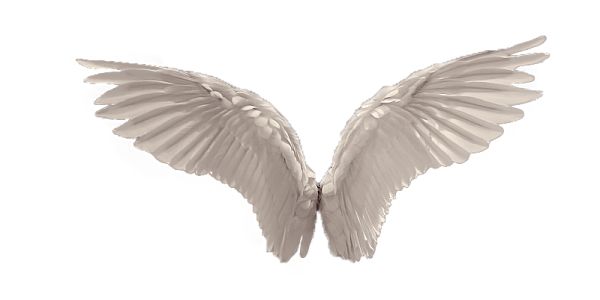 白色天使翅膀 PNG透明背景免抠图元素 素材中国编号:21812