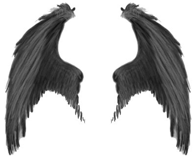 翅膀 PNG免抠图透明素材 16设计网编号:21814