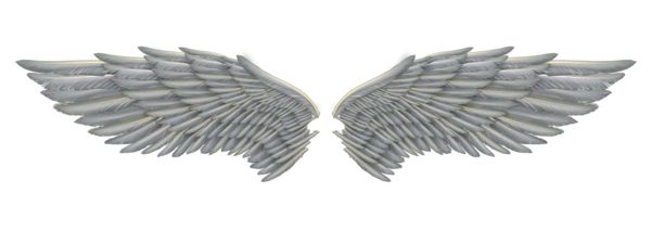 翅膀 PNG免抠图透明素材 16设计网编号:21817
