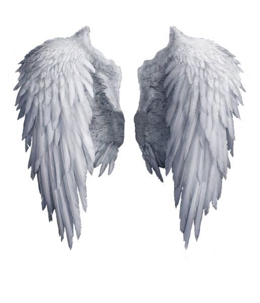 白色天使翅膀 PNG透明元素免抠图素材 16素材网编号:21819