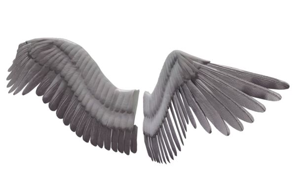 翅膀 PNG透明元素免抠图素材 16素材网编号:21820