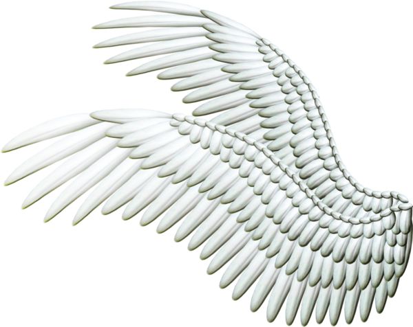 翅膀 PNG免抠图透明素材 16设计网编号:21821