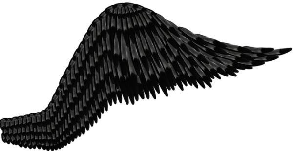 翅膀 PNG免抠图透明素材 16设计网编号:21823