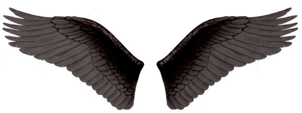 黑色邪恶之翼 PNG免抠图透明素材 16设计网编号:21779