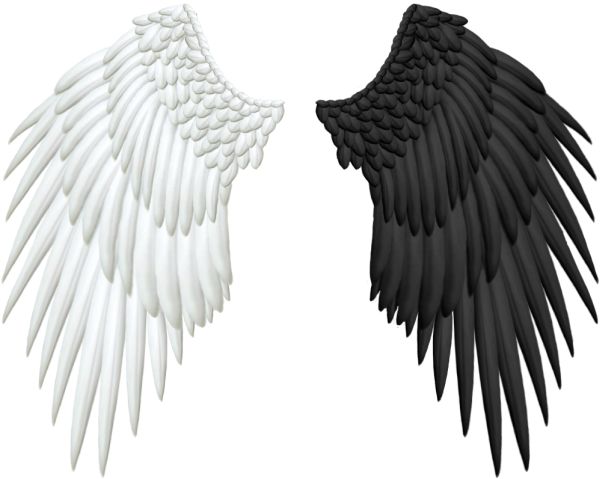 翅膀 PNG免抠图透明素材 16设计网编号:21824