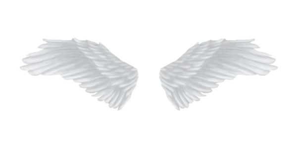 白色天使翅膀 PNG透明背景免抠图元素 素材中国编号:21826