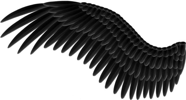 翅膀 PNG透明元素免抠图素材 16素材网编号:21827