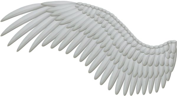 翅膀 PNG透明元素免抠图素材 16素材网编号:21828