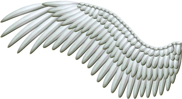 翅膀 PNG免抠图透明素材 16设计网编号:21832