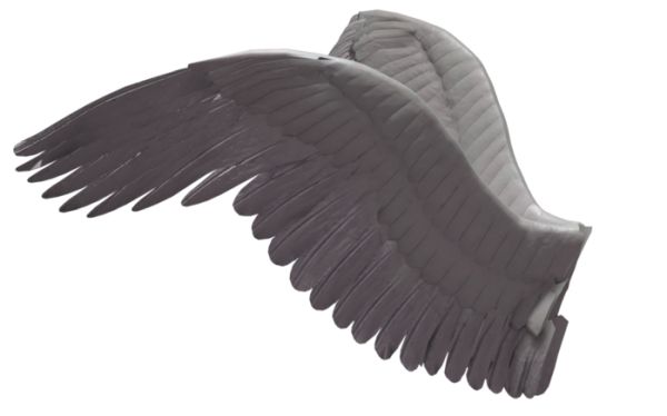 翅膀 PNG免抠图透明素材 普贤居素材编号:21780
