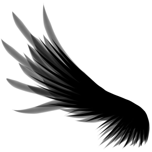 翅膀 PNG免抠图透明素材 16设计网编号:21834