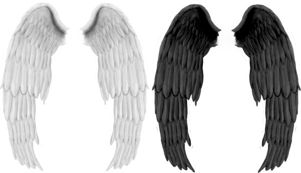 翅膀 PNG透明背景免抠图元素 16图库网编号:21781