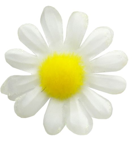 甘菊PNG图片，免费花卉图片 图片编号:667