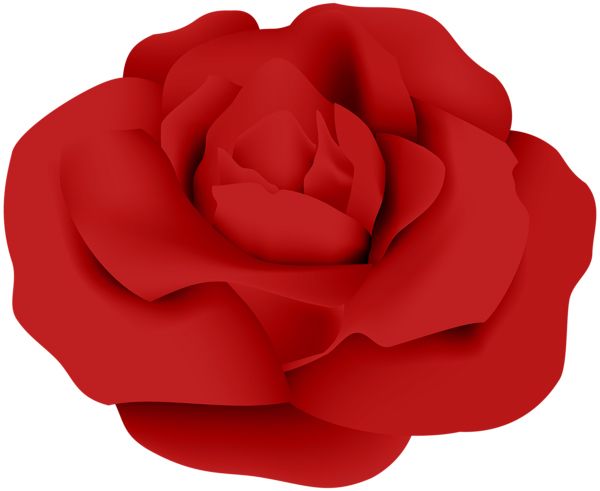 玫瑰 PNG免抠图透明素材 素材天下编号:66898