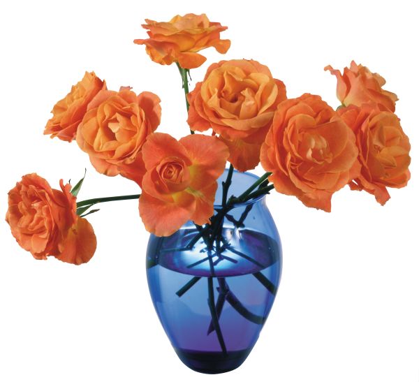 花瓶 PNG免抠图透明素材 素材天下编号:38422